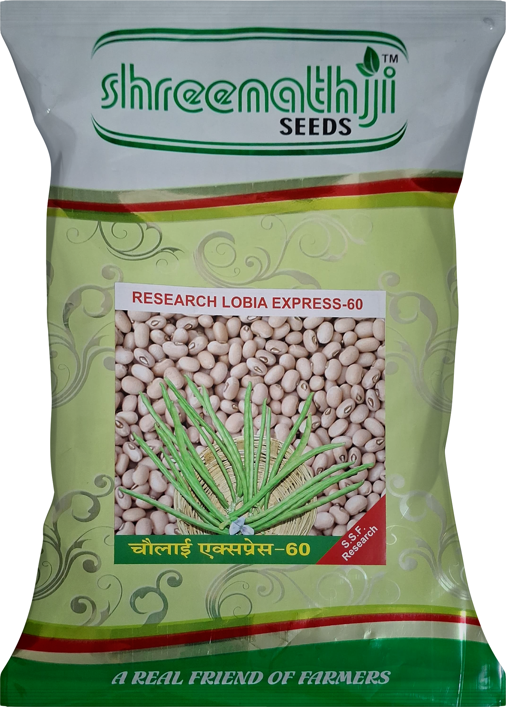 ચોળી એક્સપ્રેસ - 60